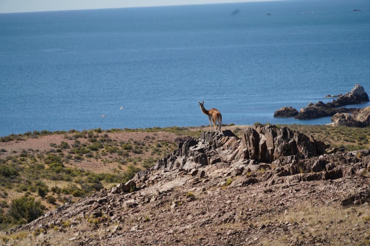 Estancia Tatay Trelew Bagian luar foto